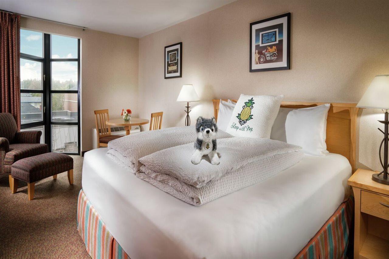 Staypineapple, Inn, District