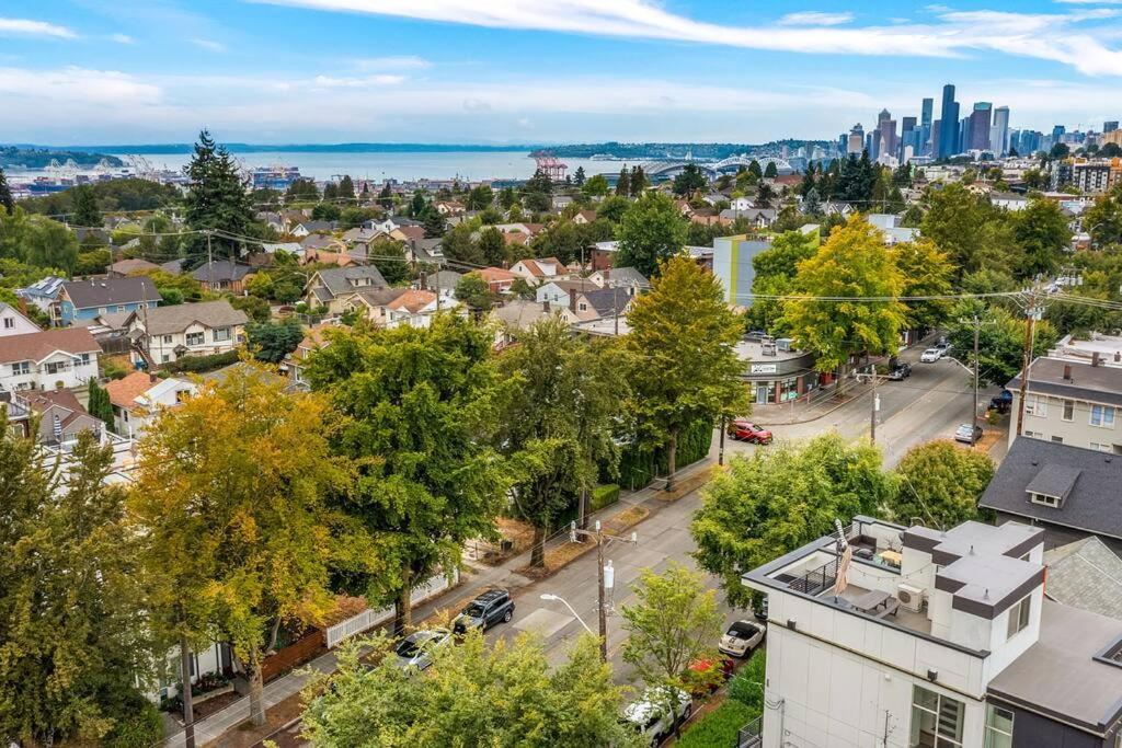 Autumn Leaves In Jefferson Park Seattle