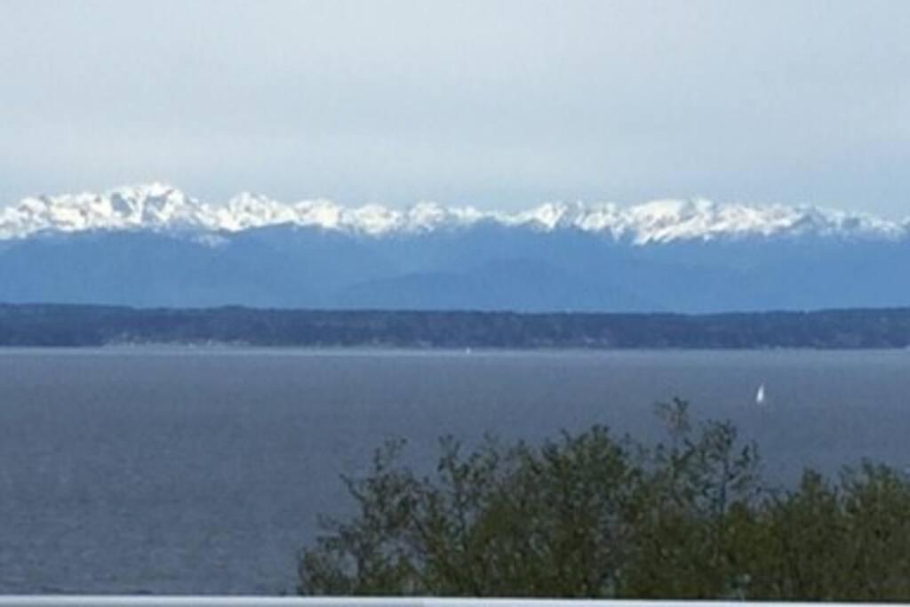 1-bedroom Seaview On Luxury Estate With Views Of Olympic Mountains Apartment Seattle