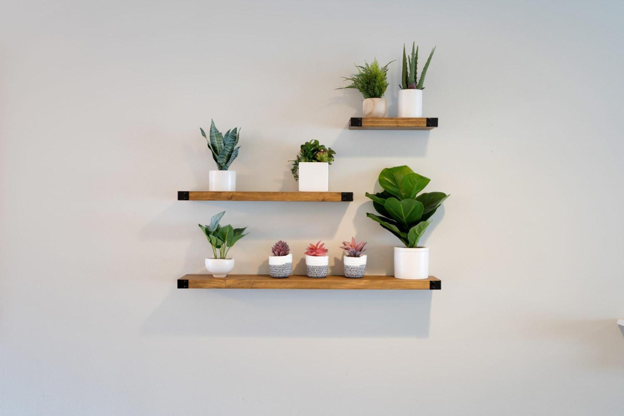 Kubota Family By Betterstay Seattle