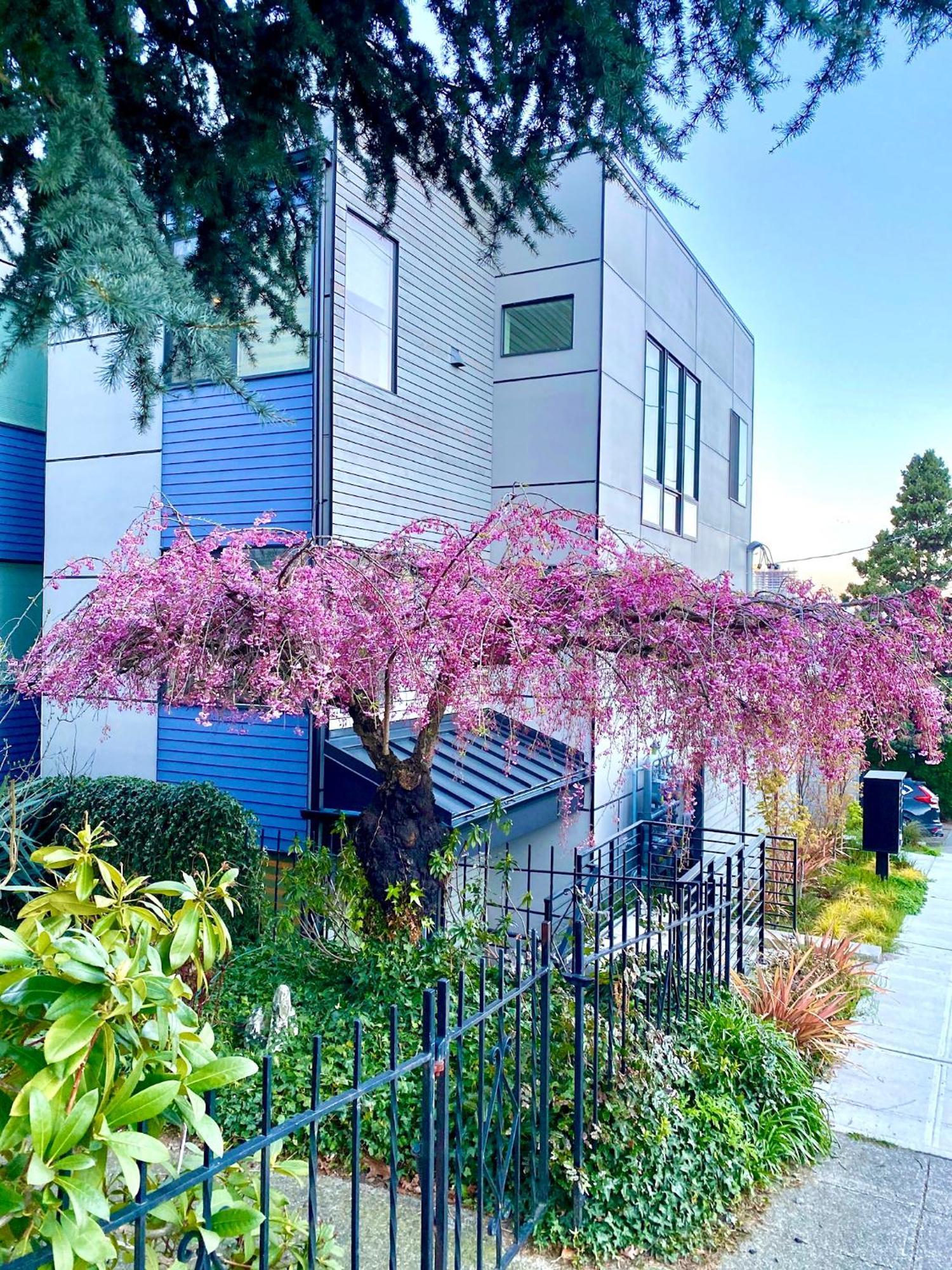 Apartment Modern Townhome With Space Needle View