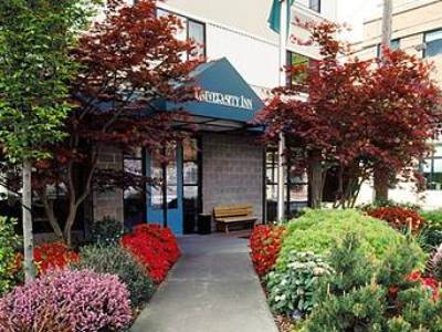 Hotel Staypineapple, Inn, District