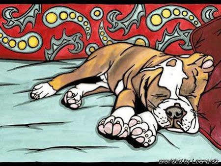 Bed & Breakfast Sleeping Bulldog