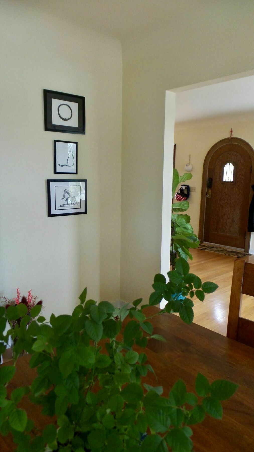 Spacious Greenlake Home, Minutes To Uw Seattle