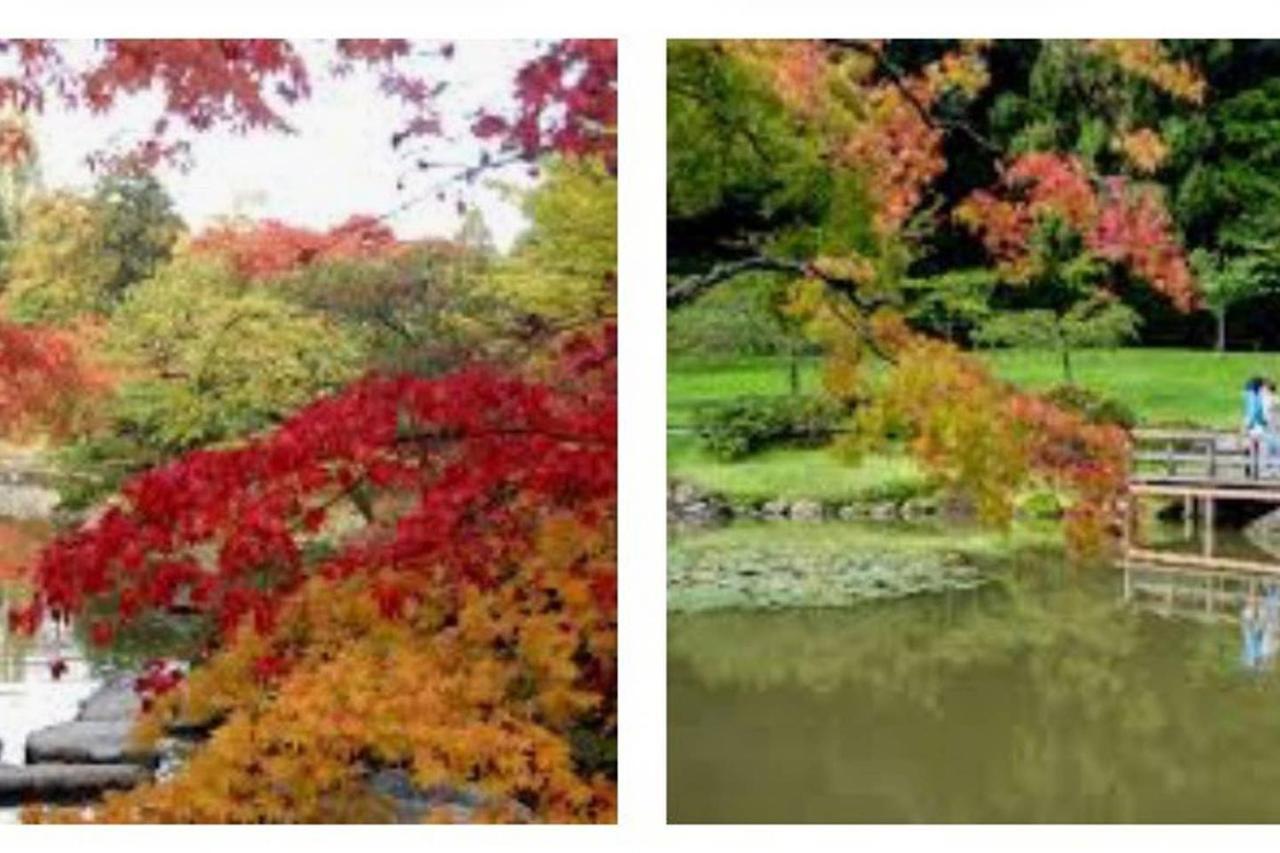 Holiday home Arboretum Escape *