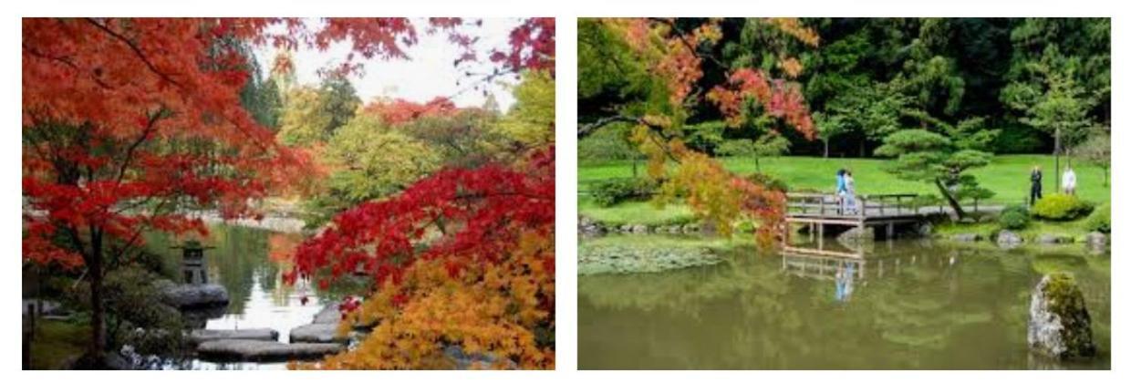Holiday home Arboretum Escape